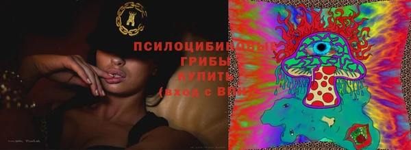 гидра Арсеньев