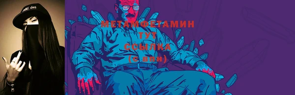 гидра Арсеньев