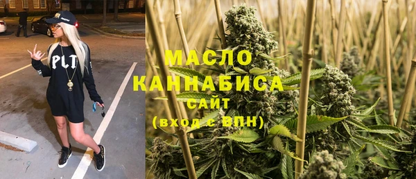 гидра Арсеньев
