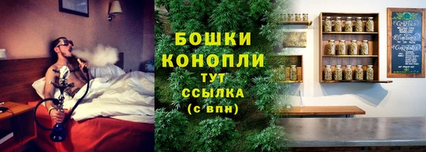 MESCALINE Аркадак