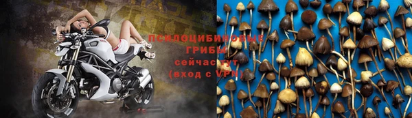 гидра Арсеньев